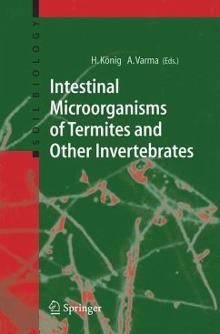 Intestinal Microorganisms of Termites and Other Invertebrates - König, Helmut / Varma, Ajit