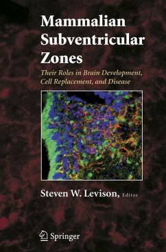 Mammalian Subventricular Zones - Levison, Steve W. (ed.)