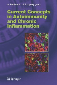 Current Concepts in Autoimmunity and Chronic Inflammation - Radbruch, Andreas / Lipsky, Peter E. (eds.)