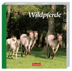 Wildpferde Cover Wildpferde