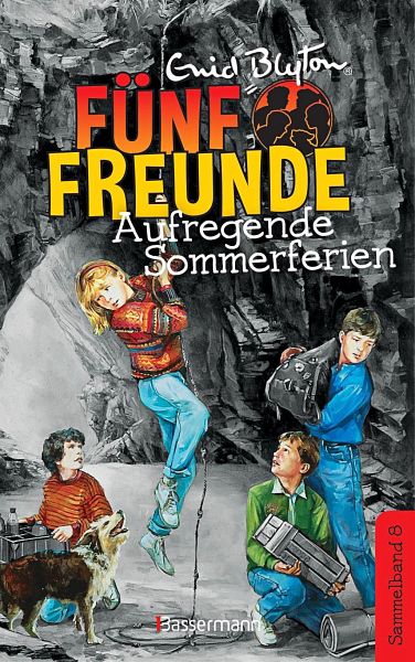 Aufregende Sommerferien / Fünf Freunde Doppelbände Bd.8 - Blyton, Enid