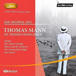 Die großen Erzählungen - Mann, Thomas