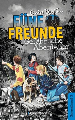 Gefährliche Abenteuer / Fünf Freunde Doppelbände Bd.5