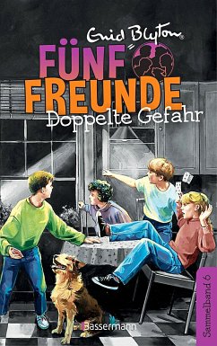 Doppelte Gefahr / Fünf Freunde Doppelbände Bd.6 - Blyton, Enid