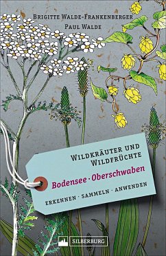 Wildkräuter und Wildfrüchte Bodensee - Oberschwaben - Walde-Frankenberger, Brigitte; Walde, Paul
