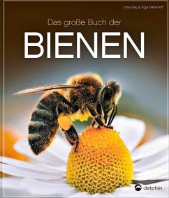 Das große Buch der Bienen - Gay, Jutta; Menkhoff, Inga