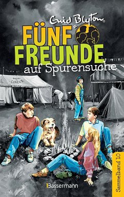 Fünf Freunde auf Spurensuche / Fünf Freunde Doppelbände Bd.10