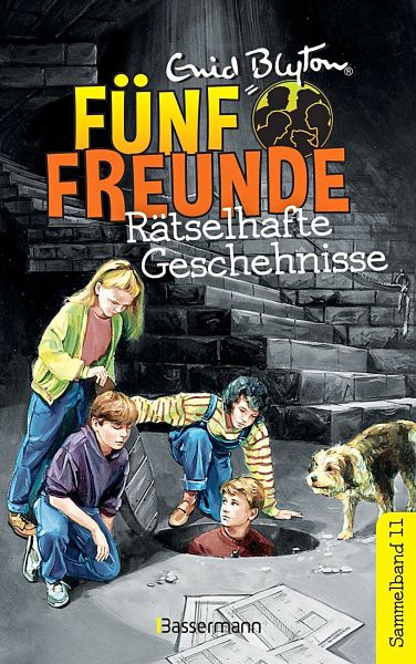 Rätselhafte Geschehnisse / Fünf Freunde Doppelbände Bd.11 - Blyton, Enid