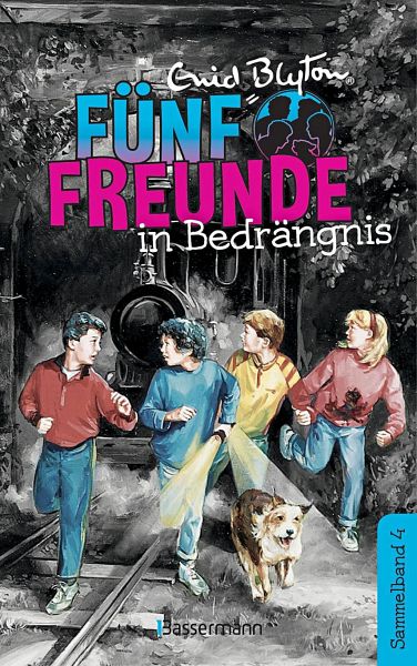 Fünf Freunde in Bedrängnis / Fünf Freunde Doppelbände Bd.4 - Blyton, Enid