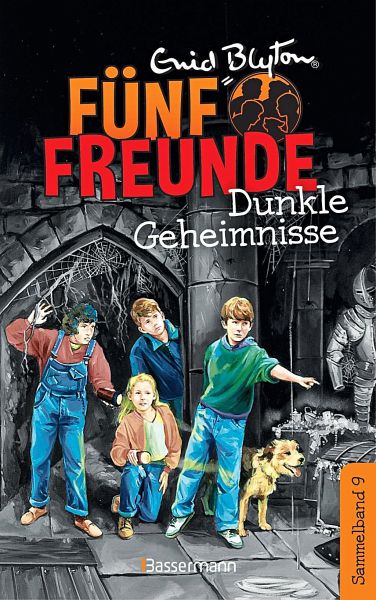Dunkle Geheimnisse / Fünf Freunde Doppelbände Bd.9 - Blyton, Enid