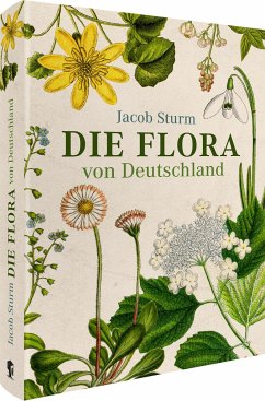 Jacob Sturm - Die Flora von Deutschland - Sturm, Jacob
