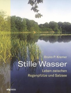 Stille Wasser - Kremer, Bruno P.