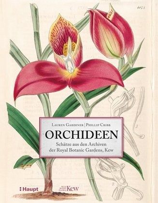 Orchideen - Gardiner, Lauren;Cribb, Phillip