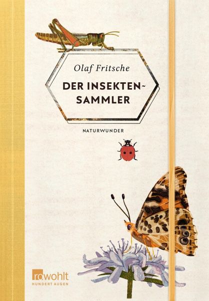 Der Insektensammler - Fritsche, Olaf