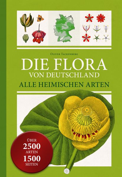 Die Flora von Deutschland - Tackenberg, Oliver