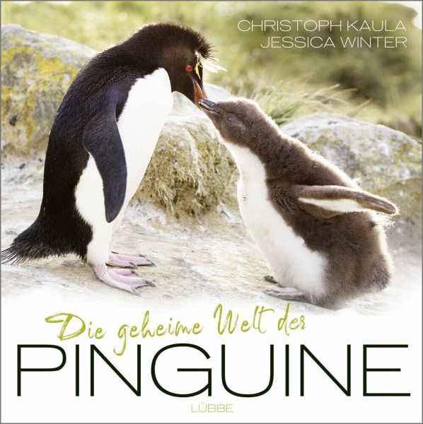 Die geheime Welt der Pinguine - Kaula, Christoph; Winter, Jessica