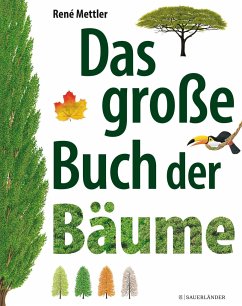 Das große Buch der Bäume - Mettler, René