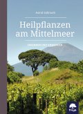 Heilpflanzen am Mittelmeer erkennen und anwenden  (Restauflage)