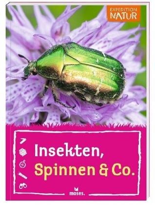 Insekten, Spinnen & Co. - Küpper, Anke