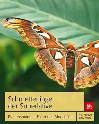 Schmetterlinge der Superlative - Howse, Philip; Wolfe, Kirby