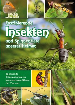 Faszinierende Insekten und Spinnentiere unserer Heimat - Hattstein, Markus