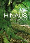 Hinaus in den Wald