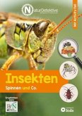 Insekten, Spinnen und Co.