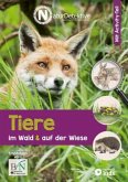 Tiere im Wald & auf der Wiese (Restauflage)