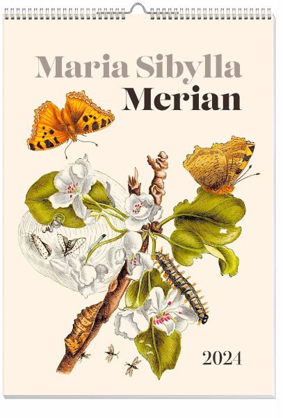 Maria Sibylla Merian: Blüten, Raupen, Schmetterlinge Kalender 2024 - Merian, Maria Sibylla