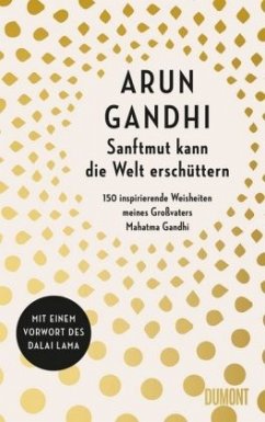 Sanftmut kann die Welt erschüttern - Gandhi, Arun
