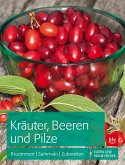 Kräuter, Beeren und Pilze