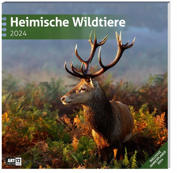 Heimische Wildtiere Broschurkalender 2024 - Ackermann Kunstverlag