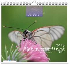 Schmetterlinge Kalender 2024 - Caspers, Wolfgang