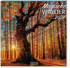 Magische Wälder Broschurkalender 2024 Magische Wälder Broschurkalender 2024