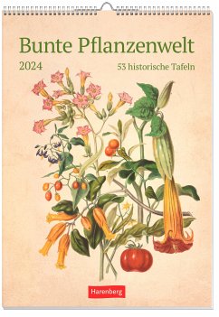 Bunte Pflanzenwelt Kalender 2024