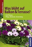 Was blüht auf Balkon & Terrasse?