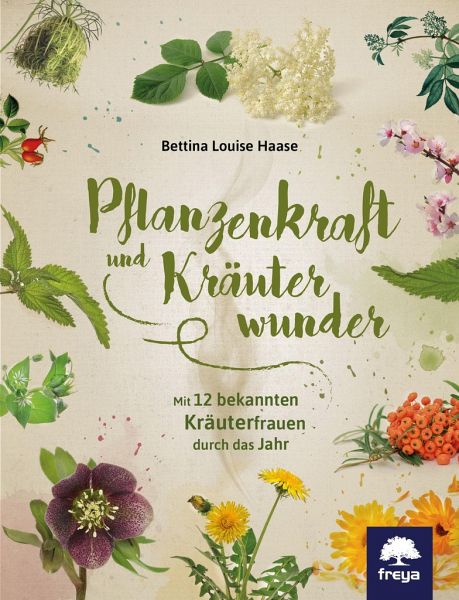 Pflanzenkraft und Kräuterwunder - Haase, Bettina Louise