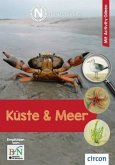 NaturDetektive: Küste und Meer  (Restauflage)