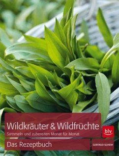 Wildkräuter & Wildfrüchte - Scherf, Gertrud