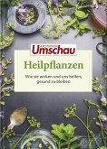 Heilpflanzen (Mängelexemplar)