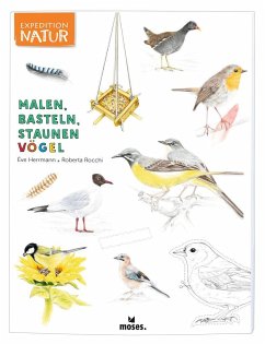 Malen, Basteln, Staunen: Vögel - Herrmann, Ève; Rocchi, Roberta