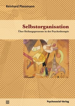 Selbstorganisation - Plassmann, Reinhard