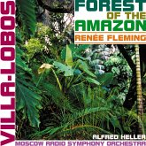 Forest Of The Amazon