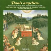 Panis Angelicus