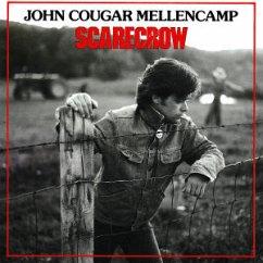 Cover Scarecrow
