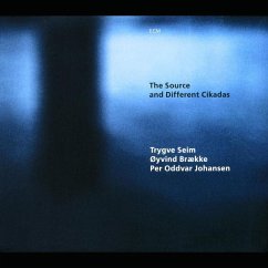 The Source And Different Cikadas - Seim,Trygve/Braekke,Oyvind/Johansen,Per Oddvar