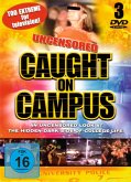 Caught On Campus-Uncensored DVD-Box