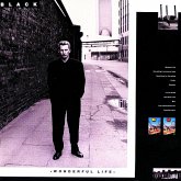 Wonderful Life Wonderful Life