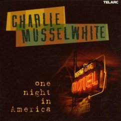 One Night In America