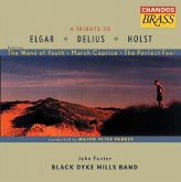 A Tribute To Elgar,Delius A.Holst